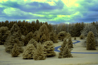 Spring 2013