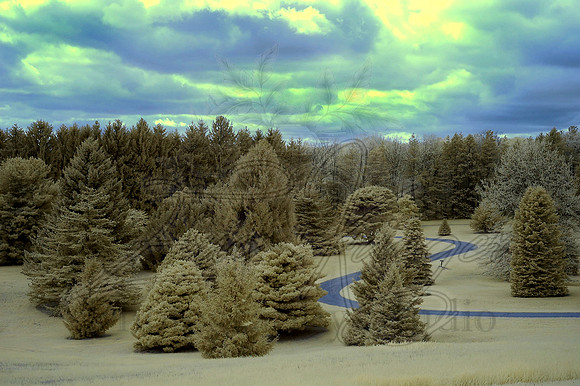 Spring 2013