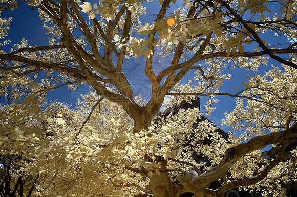 Spring 2013