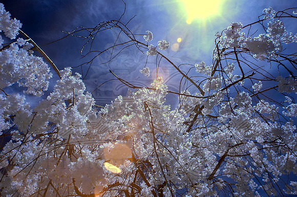Spring 2013