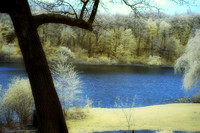 Spring 2013