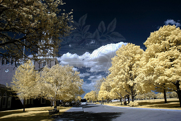 Spring 2013